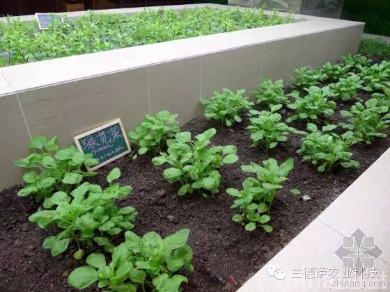 首页| 海洋之神hy590最新官方网站