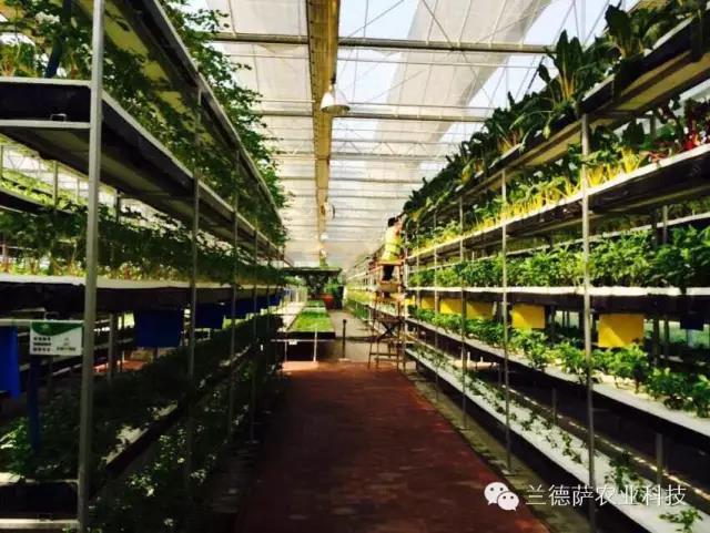 首页| 海洋之神hy590最新官方网站
