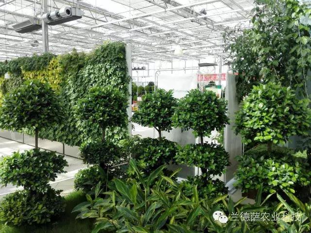 首页| 海洋之神hy590最新官方网站