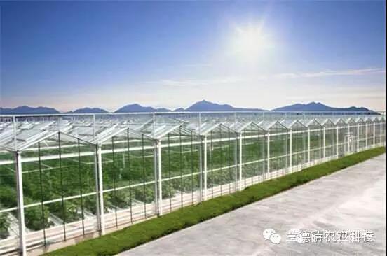首页| 海洋之神hy590最新官方网站