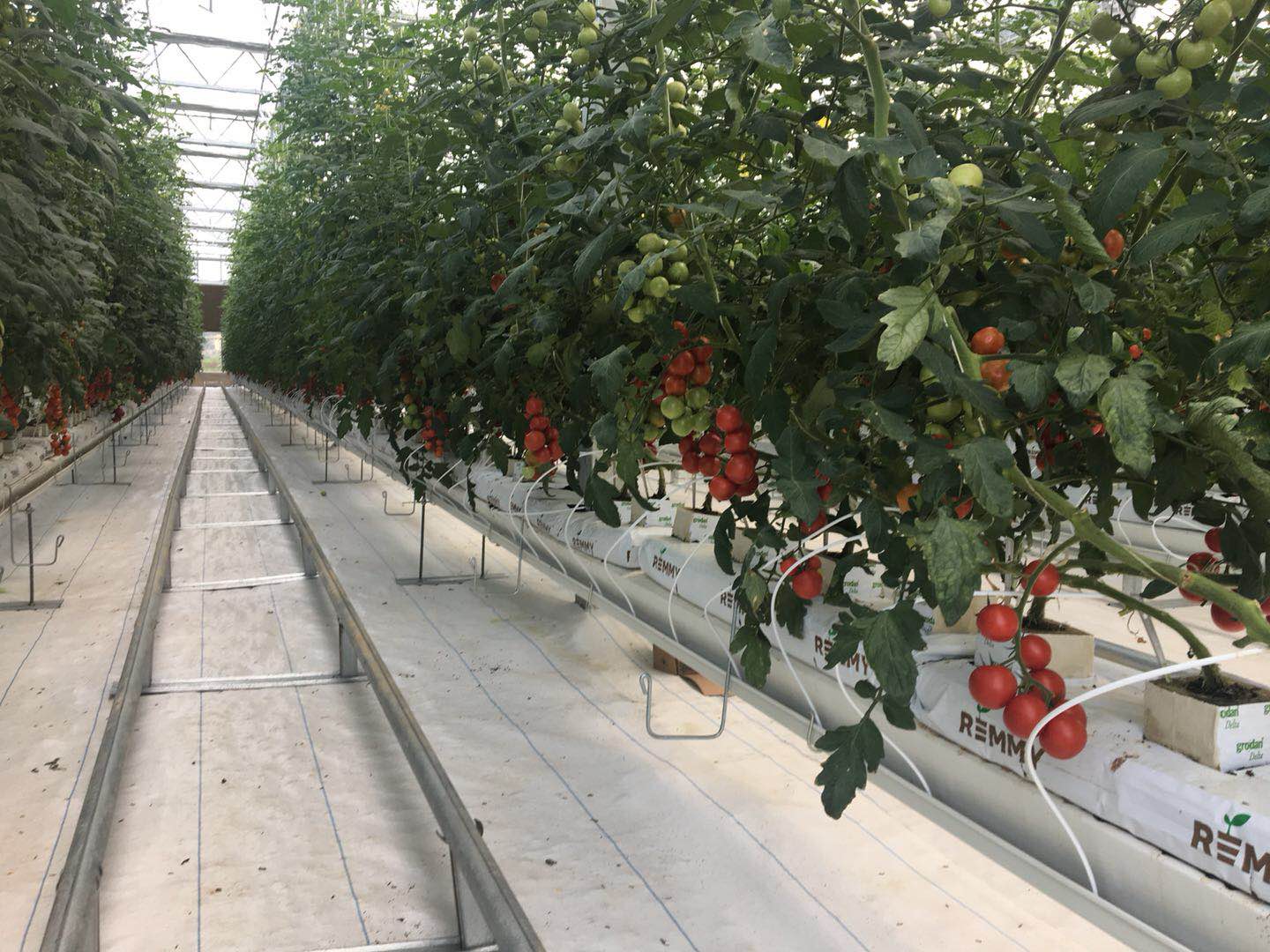 首页| 海洋之神hy590最新官方网站