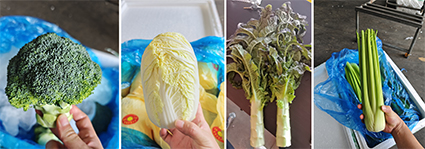 首页| 海洋之神hy590最新官方网站